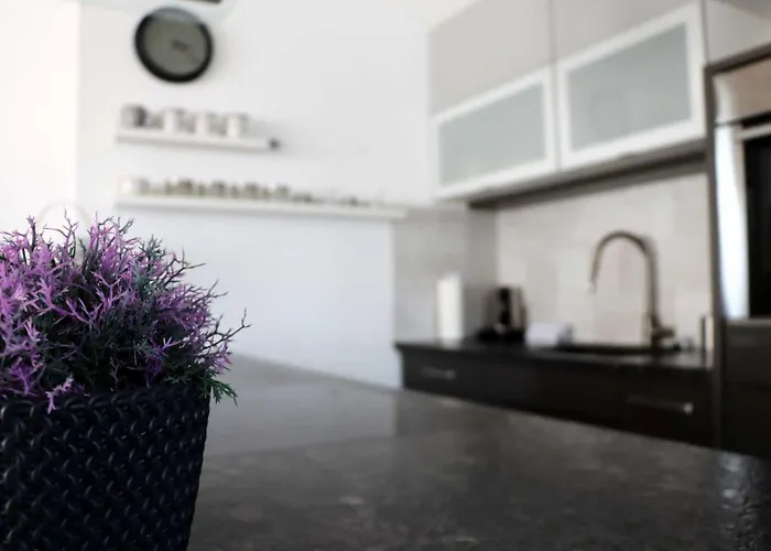 Konstanzer * 康斯坦茨