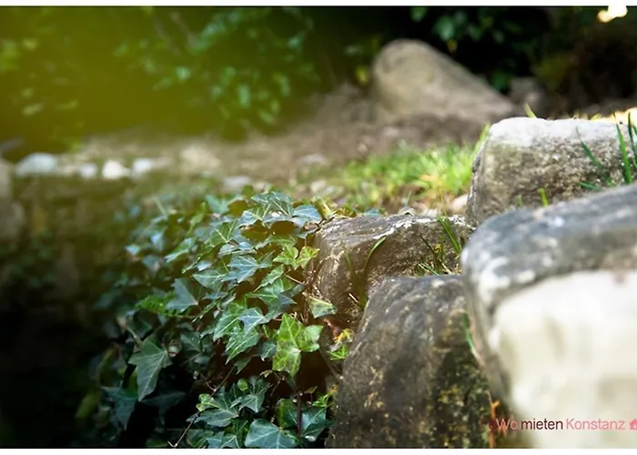 Apartman Konstanzer *